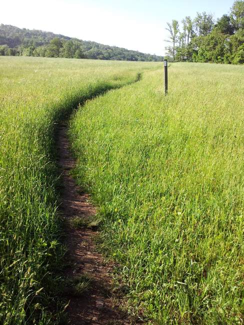 It is good to be back on the trail